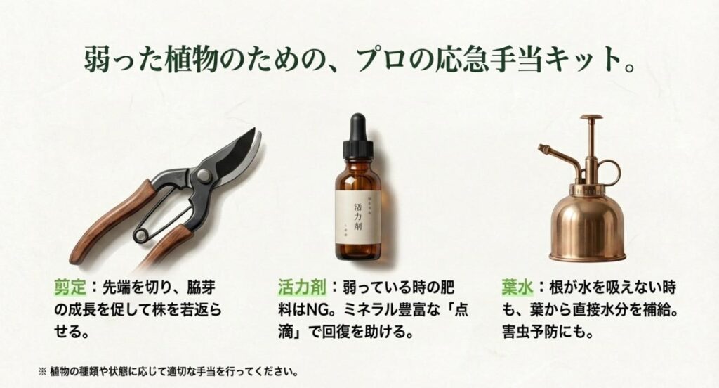 剪定ばさみ、活力剤、霧吹きなど、弱った植物を回復させるためのプロの応急手当道具とケアのポイント