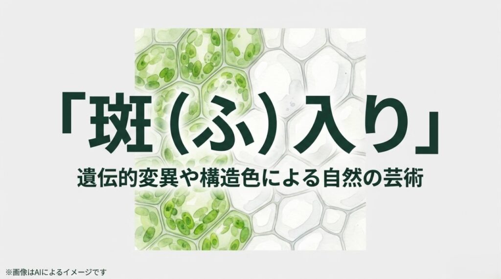 葉緑体がある緑の細胞と、変異により白くなった細胞の構造をイメージした生物学的な解説イラスト