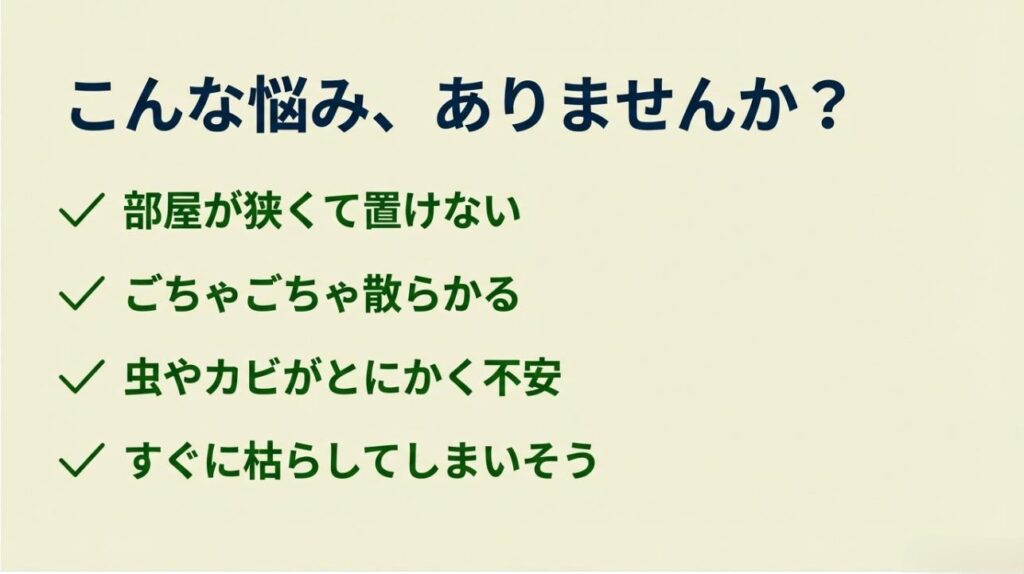部屋が狭い、虫やカビが不安、枯らしそうといった観葉植物初心者の共通の悩みをまとめたスライド
