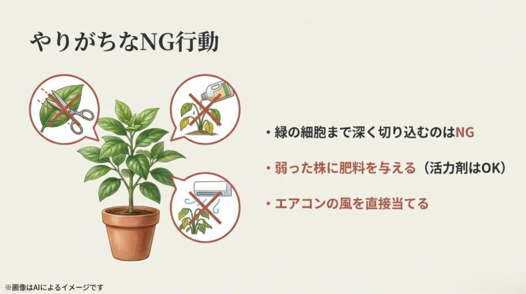 健全な細胞への深切り、弱った株への肥料、エアコンの直撃風がNGであることを示す図解