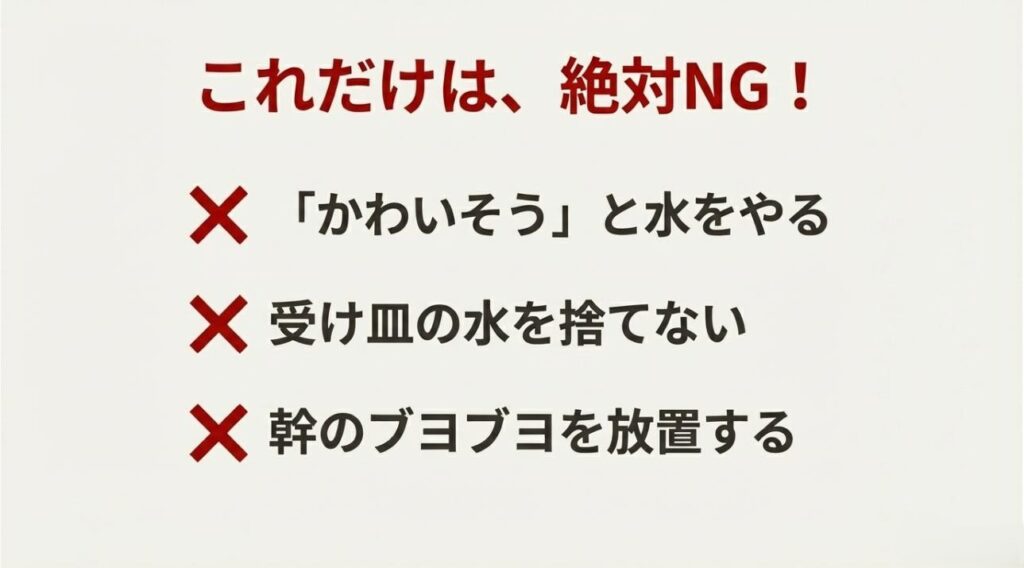 かわいそうで水をやる、受け皿の水を捨てないなど、ポニーテールを枯らす原因となるNG行動リスト