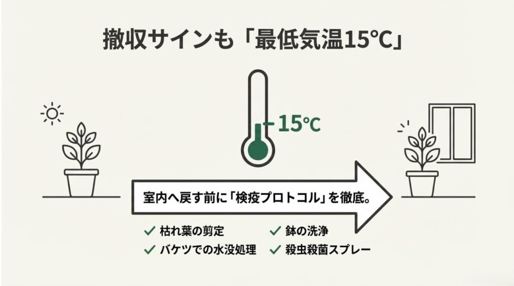 最低気温15℃を目安に室内に戻す際に行う、剪定・水没処理・洗浄・殺虫スプレーの4ステップ