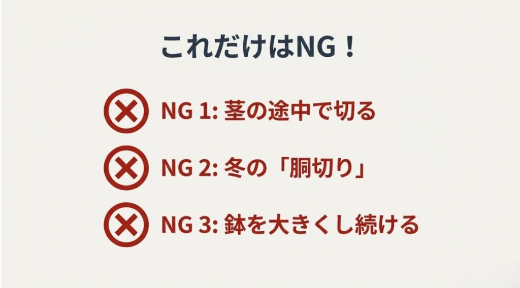 茎の途中で切ること、冬の胴切り、不必要な鉢のサイズアップを禁止事項としてまとめた警告スライド