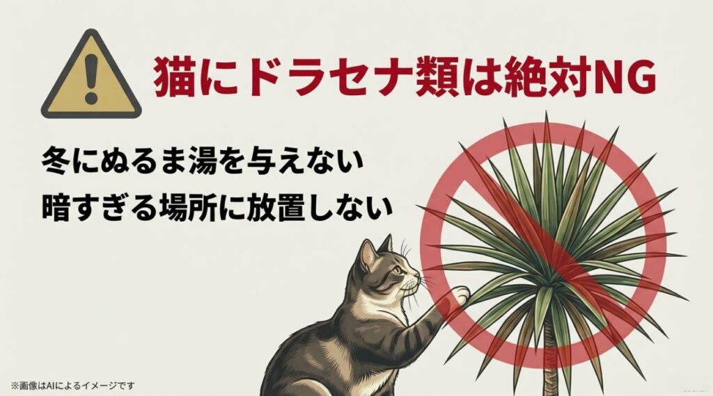猫にドラセナが危険であることや、冬の水やり・置き場所の注意点を警告アイコンと共にまとめたスライド