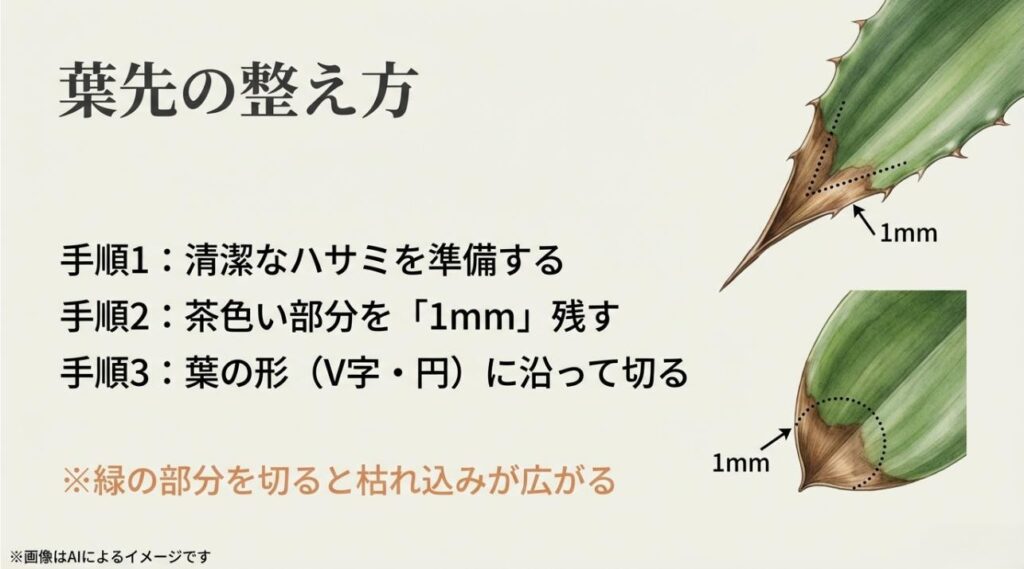 茶色い部分を1mm残して枯れ込みを防ぐ手順と、V字や円形の葉の形に沿って切る方法の解説図