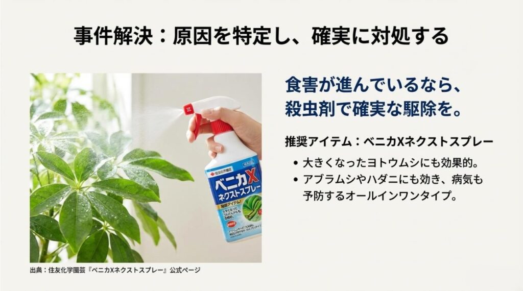住友化学園芸のベニカXネクストスプレーのイラストと、ヨトウムシやアブラムシへの効果、病気予防効果を解説したスライド
