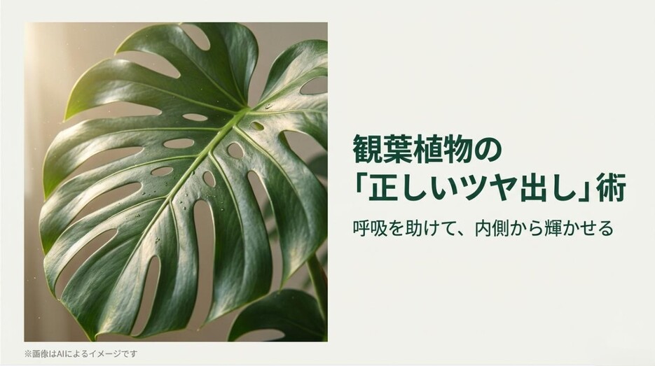 美しいモンステラの葉と「呼吸を助けて内側から輝かせる正しいツヤ出し術」というタイトルのアイキャッチ画像