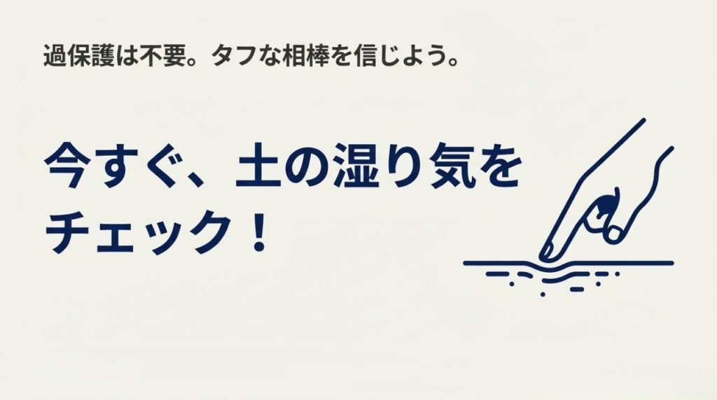 過保護は不要であり、土の乾燥を確認しようという結びのメッセージスライド
