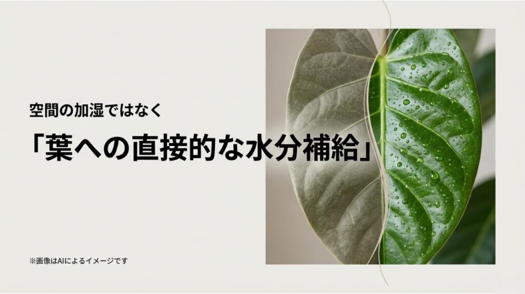 乾燥した葉と、霧吹きで潤った葉を比較し、直接的な水分補給の重要性を伝えるスライド
