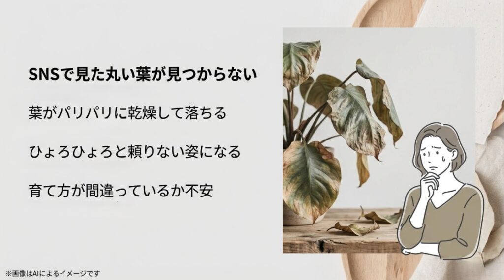 葉がパリパリに乾燥したり、ひょろひょろになったりして育て方に悩む女性のイラスト