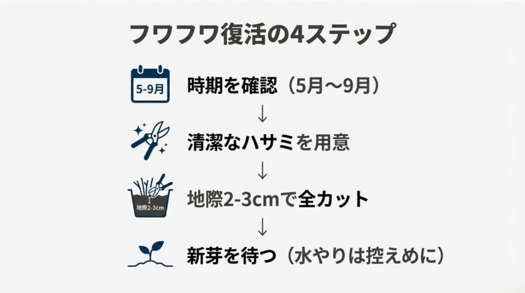 剪定時期の確認から、ハサミの準備、地際2-3cmでのカット、新芽を待つまでの流れを図解したイラスト