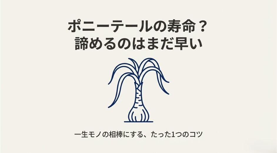 ポニーテールのイラストと、枯れたと思っても寿命を諦めるのはまだ早いというメッセージが書かれたアイキャッチ画像