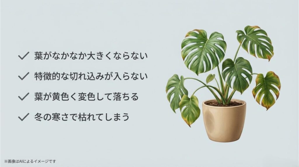 葉が大きくならない、切れ込みが入らない、黄色く変色する、冬に枯れるといった栽培上の悩みをまとめたスライド