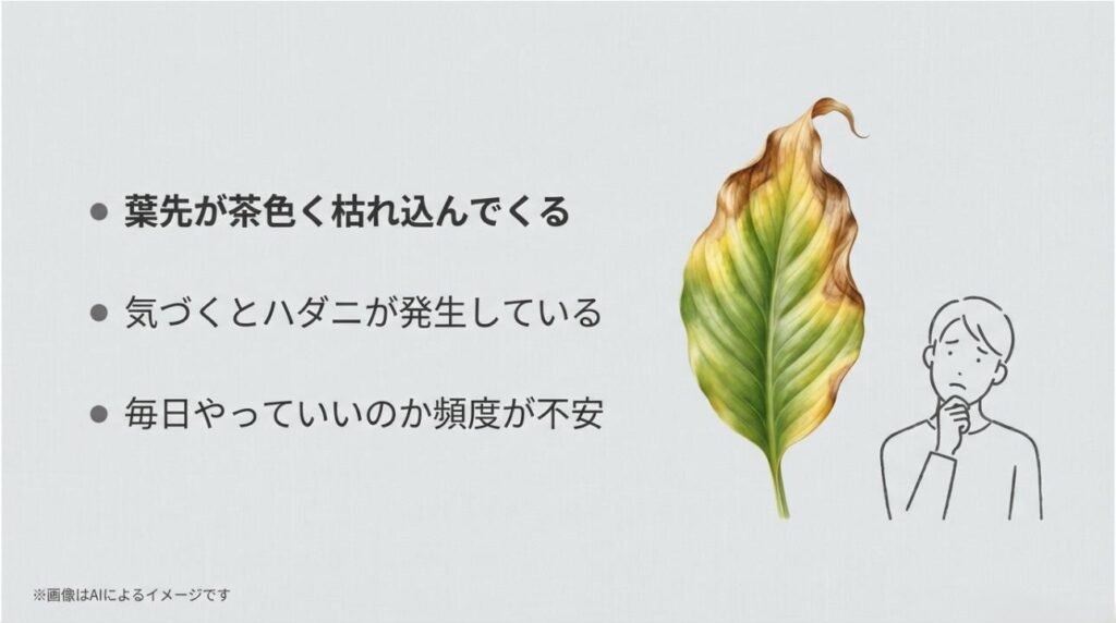 葉先の枯れやハダニの発生など、観葉植物を育てる上で多くの人が直面する悩みをまとめたスライド