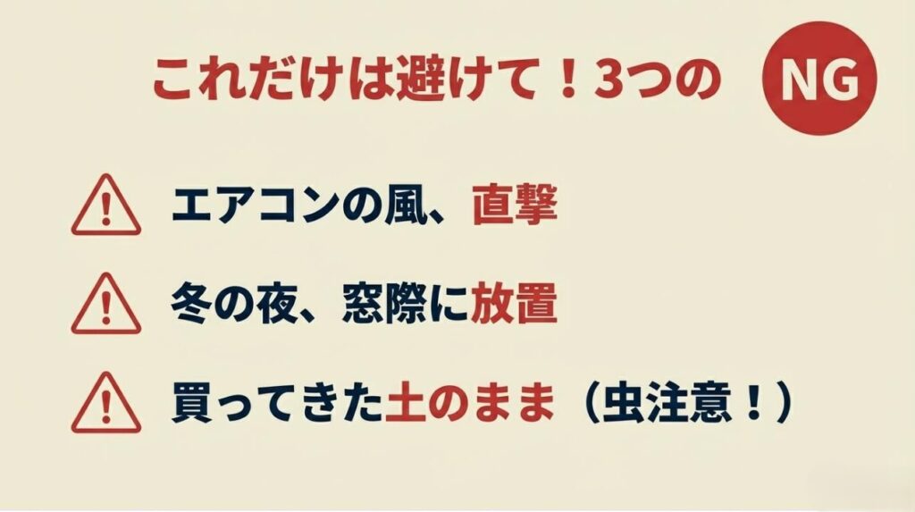 エアコン風の直撃や冬の窓際放置、買った土のまま育てるなどの虫・枯れを招く注意点をまとめたスライド