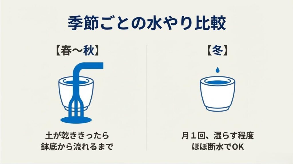 春から秋は土が乾いたらたっぷり、冬は月1回もしくは断水という季節別の水やり頻度比較表
