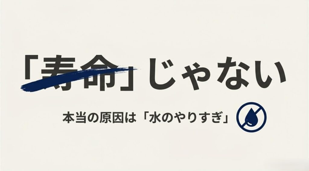 多くの不調は寿命ではなく、水のやりすぎによる根腐れが原因であることを強調したスライド