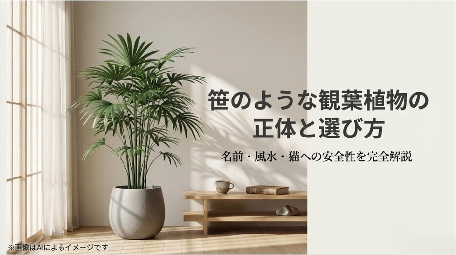 笹に似た観葉植物の正体と選び方を、名前・風水・猫への安全性の観点で解説する記事のアイキャッチ画像
