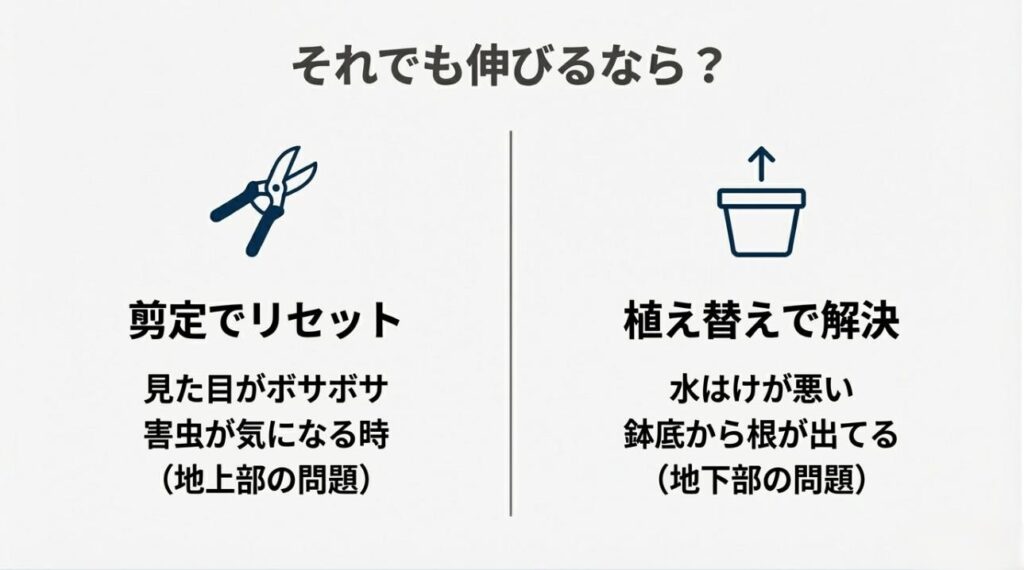 地上部の見た目の問題なら剪定、地下部の根詰まりなら植え替えと判断するための分岐図