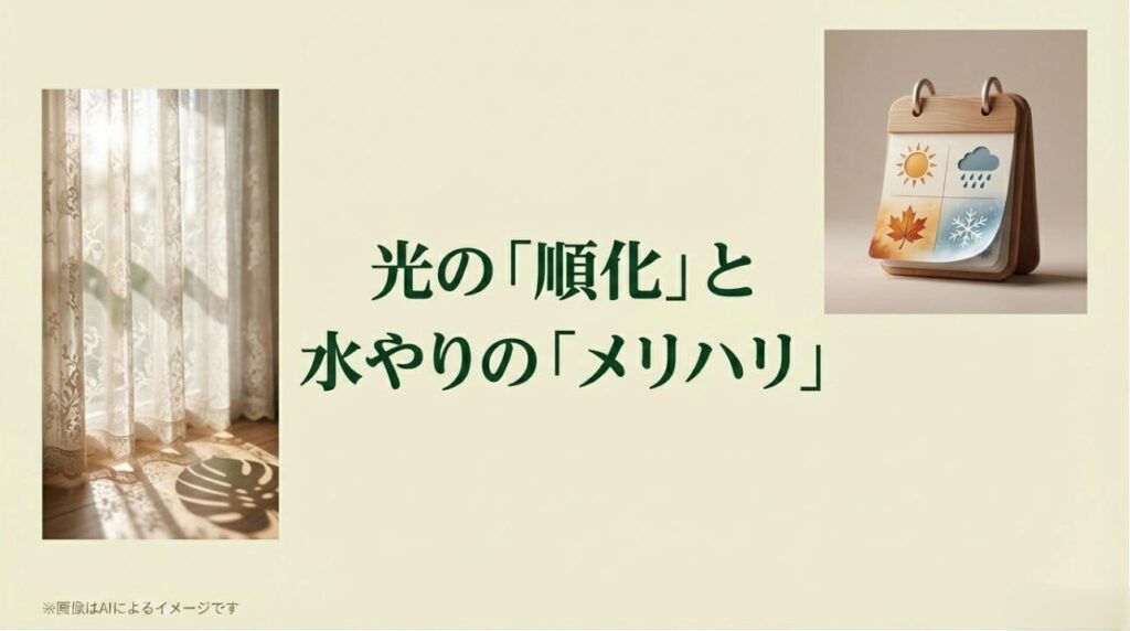 四季のアイコンと、レースのカーテン越しに柔らかな日光が差し込む窓辺のイメージ。光の強さを調整する重要性を示す