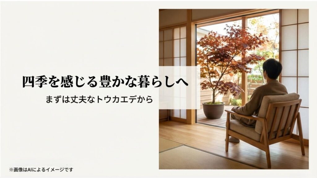 室内モミジの成功を願い、丈夫なトウカエデからのスタートを推奨する結びのスライド