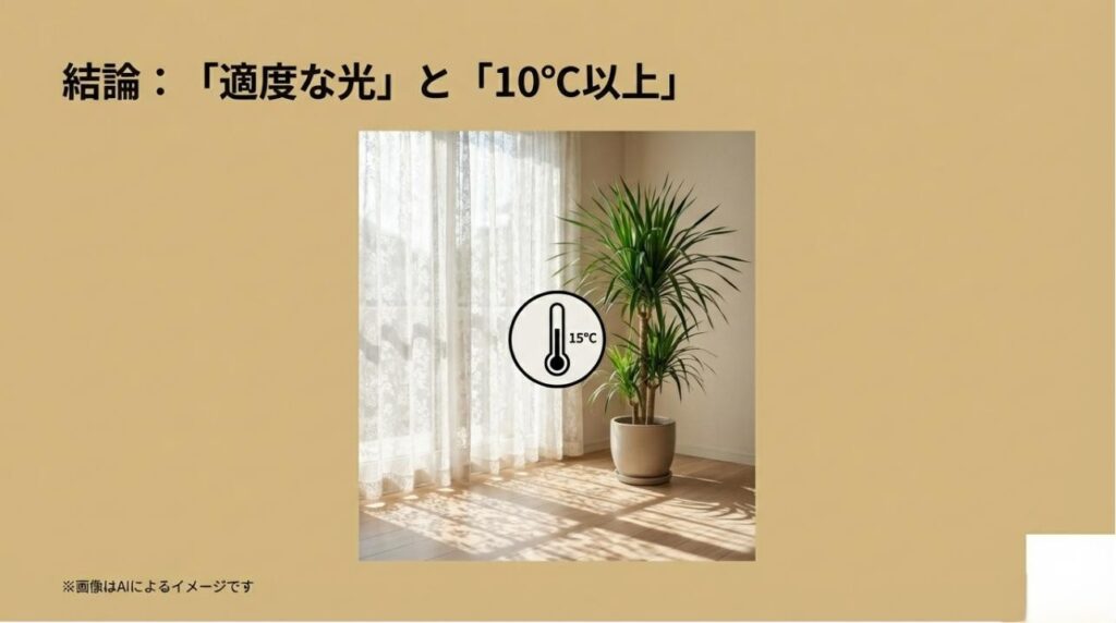 15℃を示す温度計のアイコンと、レースカーテン越しの光を浴びるドラセナのスライド