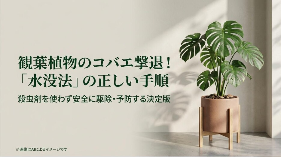 殺虫剤を使わずに観葉植物のコバエを駆除・予防する「水没法」の解説スライド