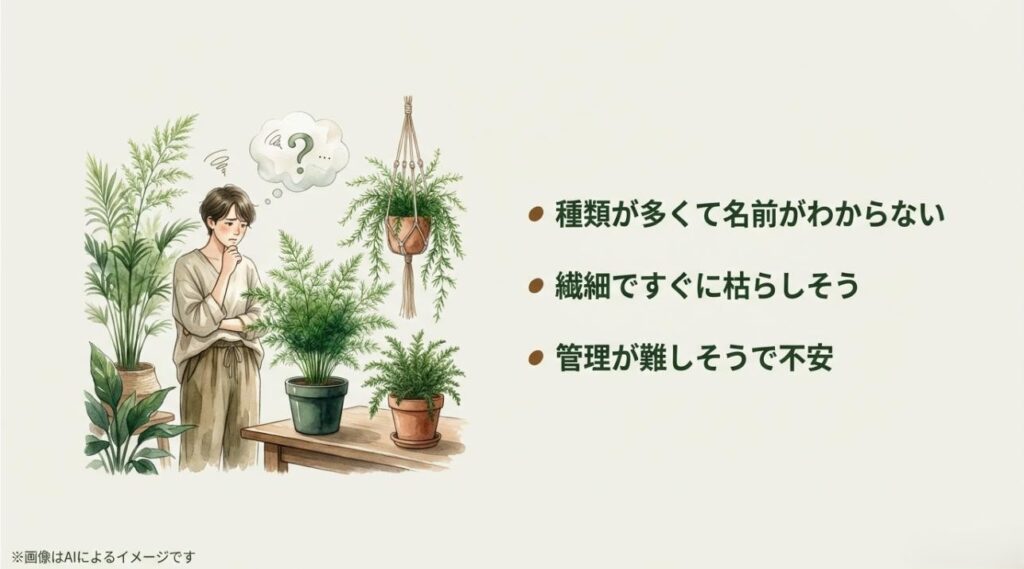 アスパラガスの種類や管理方法に悩む人物のイラストと、初心者が抱きがちな3つの悩み(名前、枯死、管理)をまとめたスライド