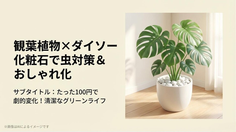 白い鉢に植えられたモンステラと、その足元に敷き詰められた清潔感のある白い化粧石のイメージスライド
