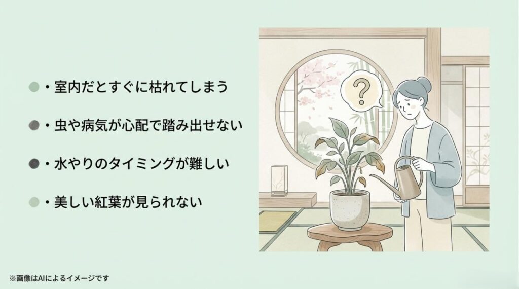 室内でモミジを育てる際の水やりや枯れる心配、虫への不安を描いたイラストスライド