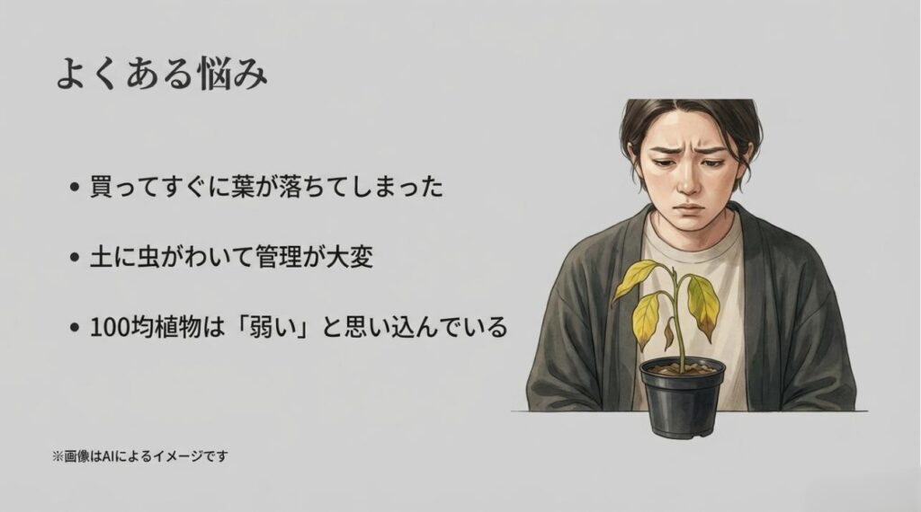 葉が落ちる、虫がわくなど、100円ショップで買った植物を育てる際によくある不安や悩みを描いたイラストスライド