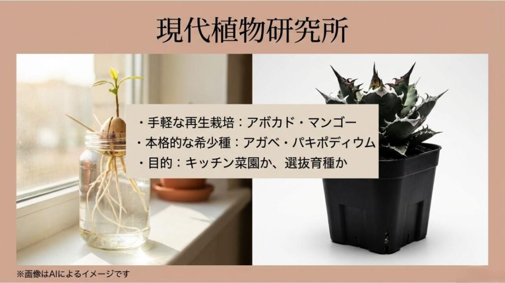 アボカド・マンゴーなどの手軽な再生栽培と、アガベ・パキポディウムなどの本格的な希少種を比較した品種選びのガイドスライド