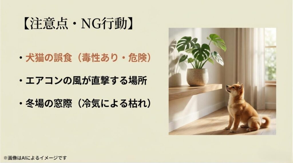 犬や猫の誤食、エアコンの直風、冬の窓際など、ポリシャスを枯らさない、またトラブルを防ぐためのNG行動リスト
