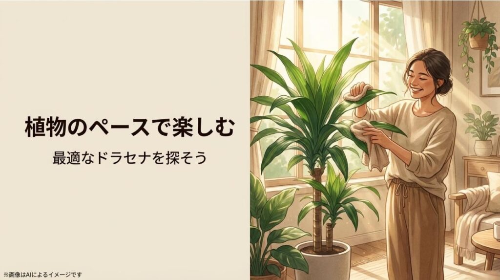 笑顔でドラセナの葉を丁寧に拭き、植物との時間を楽しむ女性のイラスト