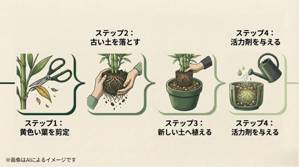 黄色い葉の剪定、土落とし、新しい土への植え替え、メネデール等の活力剤投与の4つの手順を示した図解スライド