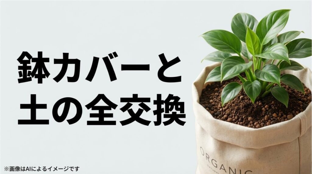 「ORGANIC」「NATURAL」と書かれた鉢カバーと、清潔な土への植え替えを推奨するイメージ画像