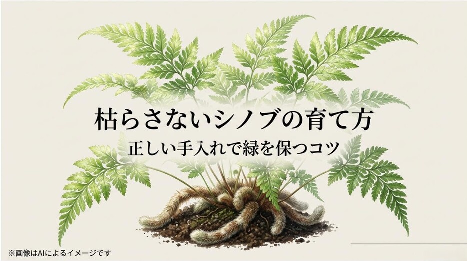 シノブの繊細な葉が描かれた、初心者でも枯らさないための手入れのコツを解説するアイキャッチ画像