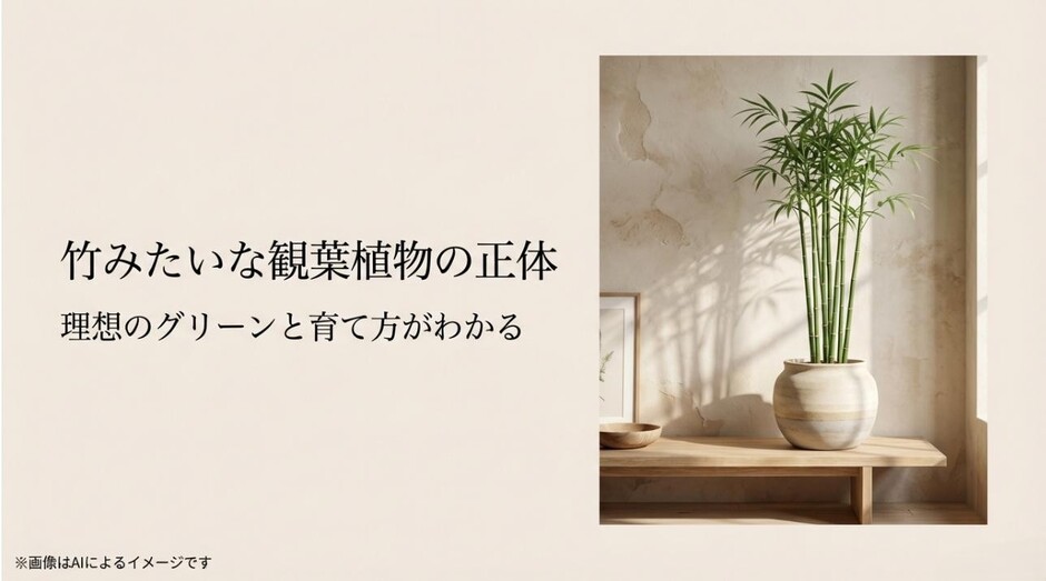 スタイリッシュな竹のような観葉植物が白い鉢に植えられ、明るい窓辺に置かれているアイキャッチ画像