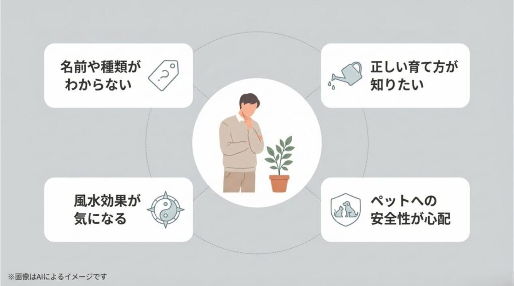 観葉植物の名前、育て方、風水、ペットへの安全性という4つの悩みがアイコンと共に描かれたスライド