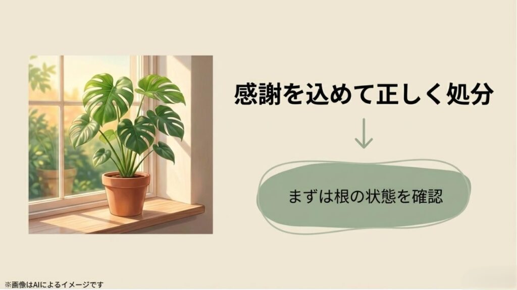 窓辺の元気なモンステラのイラストとともに、感謝の気持ちと根の状態確認を促すまとめのスライド