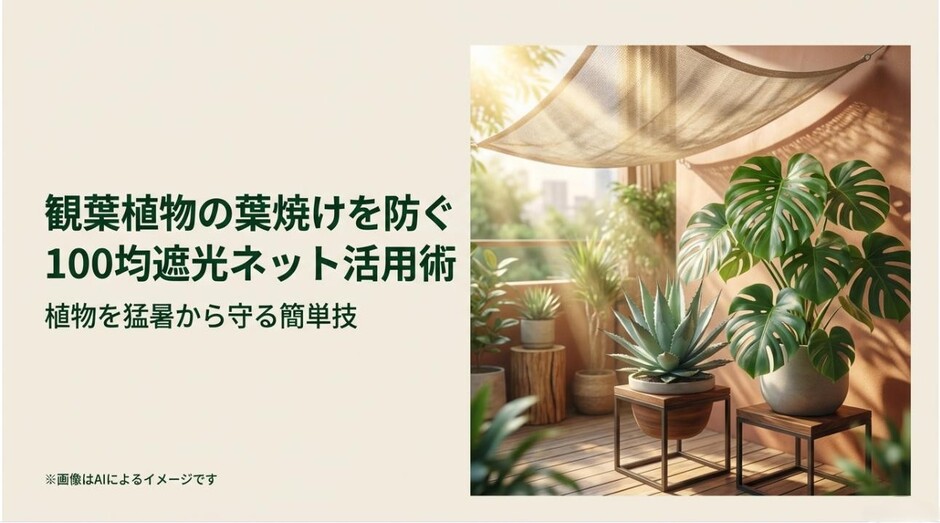 ベランダに設置された遮光ネットの下で、強い日差しを避けながら元気に育つモンステラやアガベのアイキャッチ画像