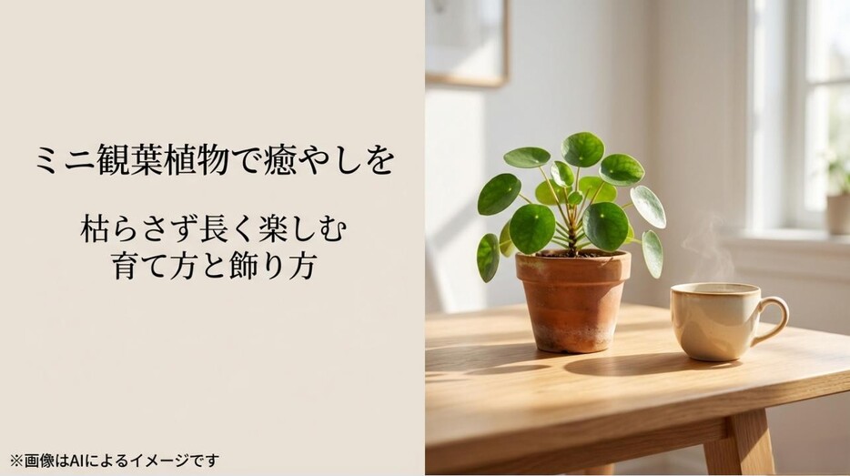 ミニ観葉植物を枯らさず長く楽しむための育て方と飾り方を解説する、癒やしの雰囲気を感じるアイキャッチ画像