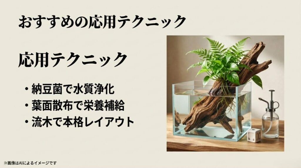 流木に植物を配置したダイナミックなレイアウトと、霧吹きでの葉面散布による栄養補給の様子