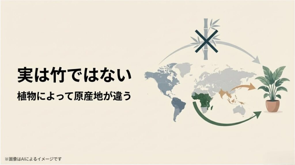 竹ではないことを示すアイコンと、アフリカからアジアへの広がりを示す世界地図の解説スライド
