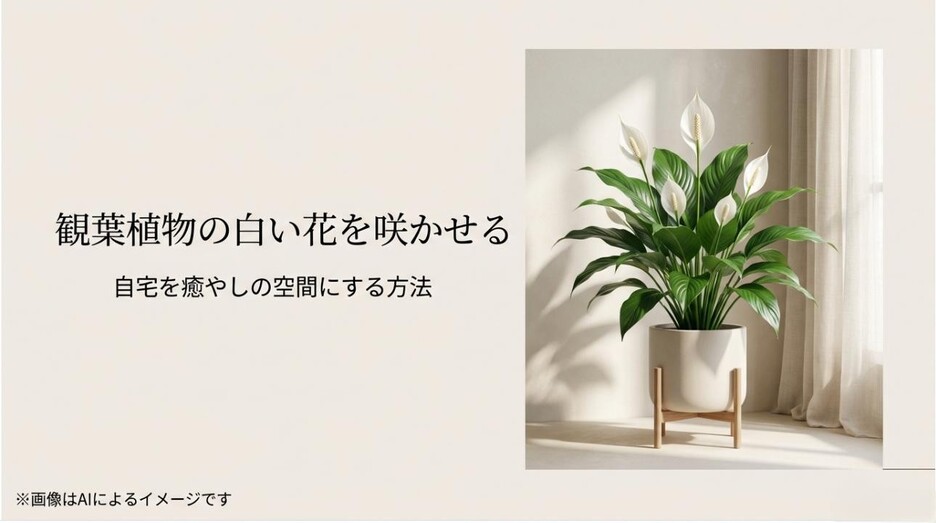 室内で美しく白い花を咲かせた観葉植物の鉢植え。自宅を癒やしの空間にする方法のイメージ
