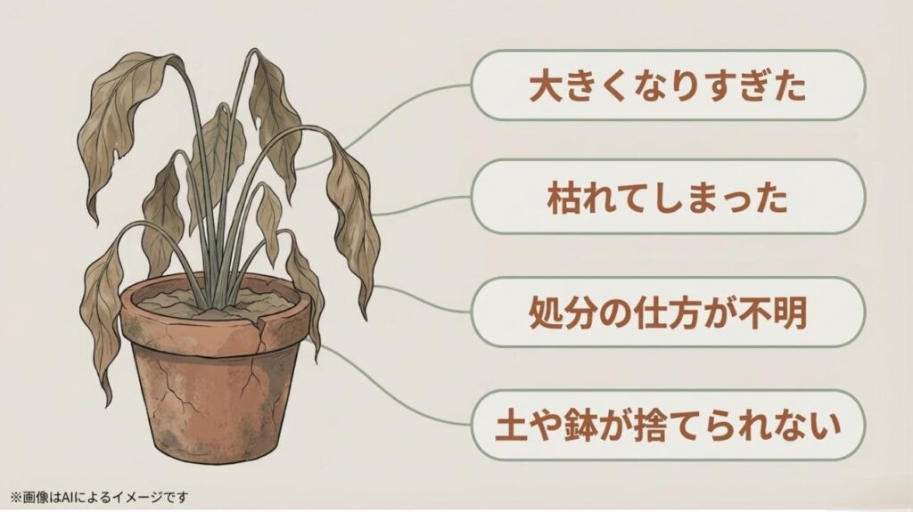 鉢が割れ、枯れてしまった植物のイラストとともに、大きすぎることや土の捨て方などの悩みをまとめたスライド