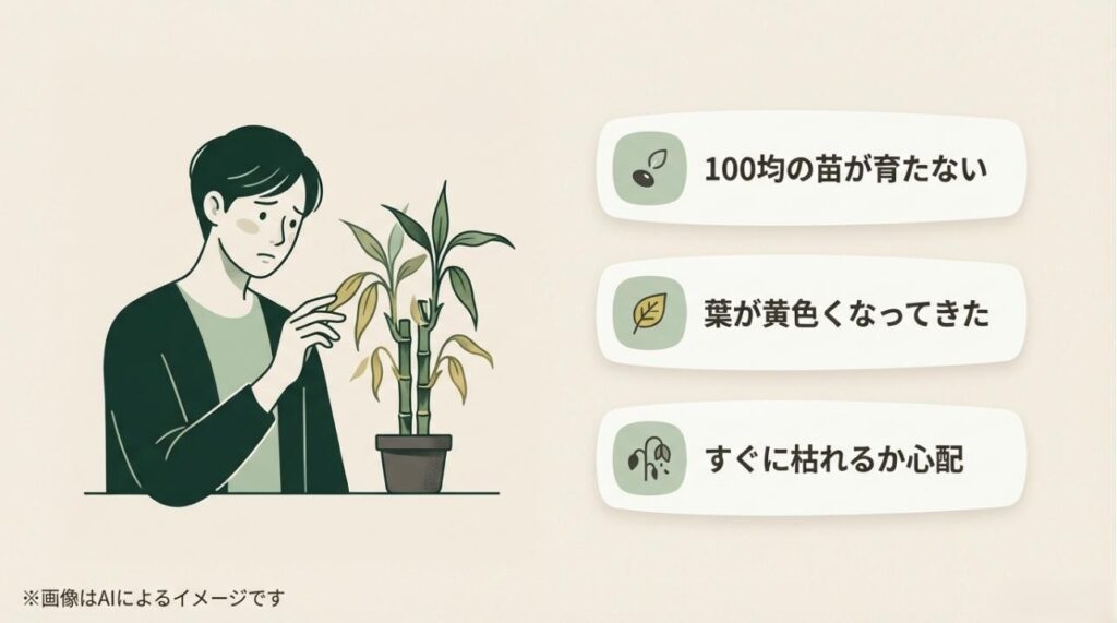 黄色くなったキングバンブーの葉を心配そうに見つめる人のイラストと、枯れる心配を表現したスライド
