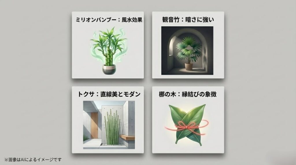 ミリオンバンブー（風水）、観音竹（耐陰性）、トクサ（モダン）、梛（縁結び）のメリットをまとめたスライド