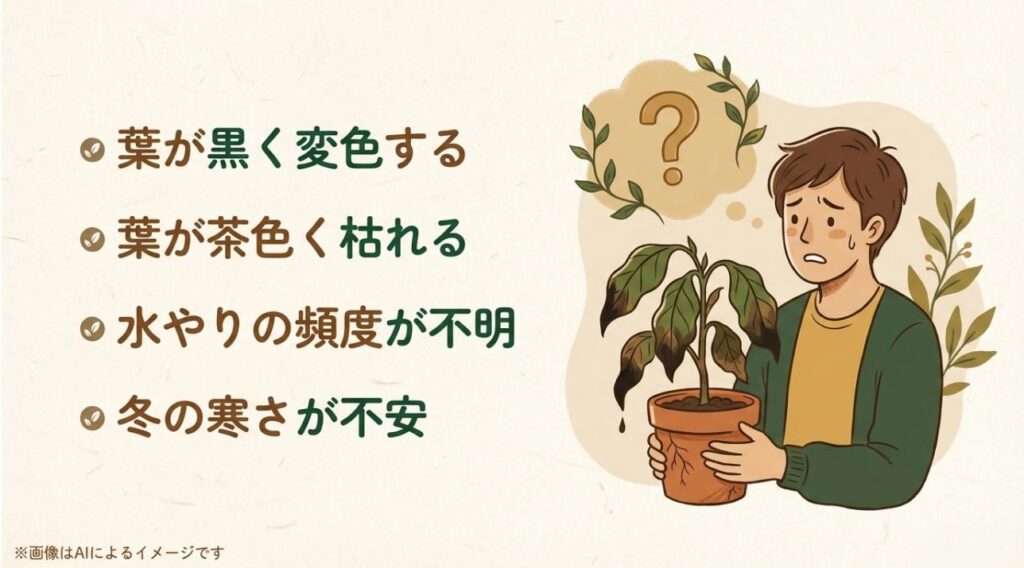 葉が黒くなったり茶色くなったりして困っている初心者のイラストと、よくある4つの悩み（変色・水やり・寒さ）のリスト