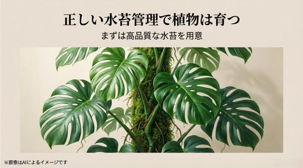 モスポールに美しく活着したモンステラと、高品質な資材から始める成功へのメッセージを込めたまとめスライド